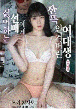 纪录片分类示意封面